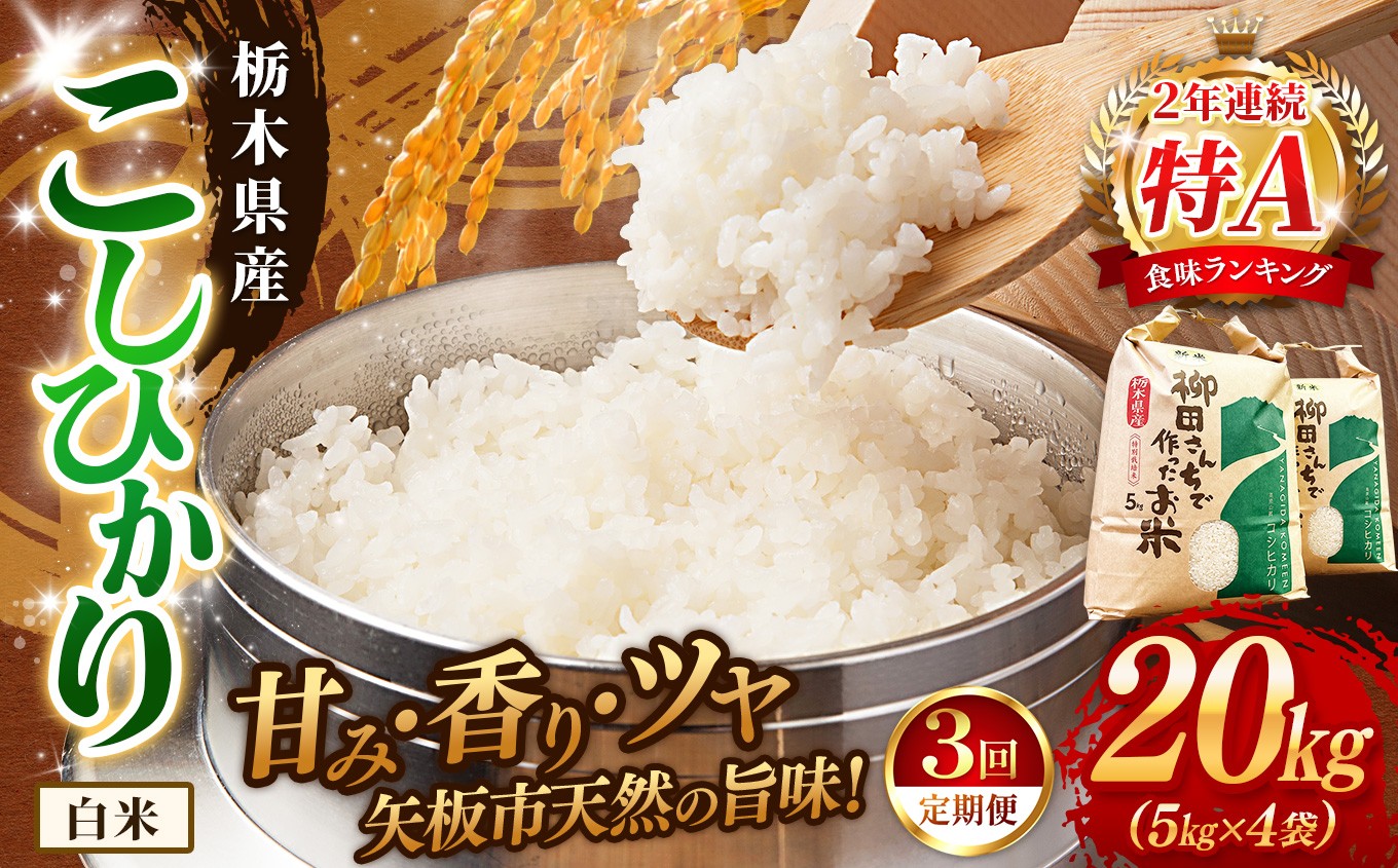 [定期便3回]矢板市特別栽培米 こしひかり 白米 5kg×4P | お米 米 こめ 白米 玄米 にじのきらめき コシヒカリ こしひかり 美味しい お弁当 選べる エコ スマート 環境 手間暇 土づくり  ふるさと 納税 栃木県 矢板市