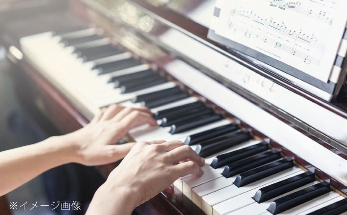 チケット ばらのまち福山国際音楽祭2026演奏会チケット【5月24日(日) リーデンローズ大ホール 松田理奈＆阪田知樹 デュオ・リサイタル】 広島県福山市/ばらのまち福山国際音楽祭実行委員会 音楽祭 演奏会  クラシック チケット [BAGA013]