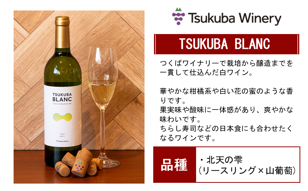 ワイン スパークリングワイン つくばワイナリー 満喫 6本セット 各種750ml 日本ワイン │ 国産ワイン お酒 葡萄 ぶどう ブドウ ワイナリー 茨城県 つくば市