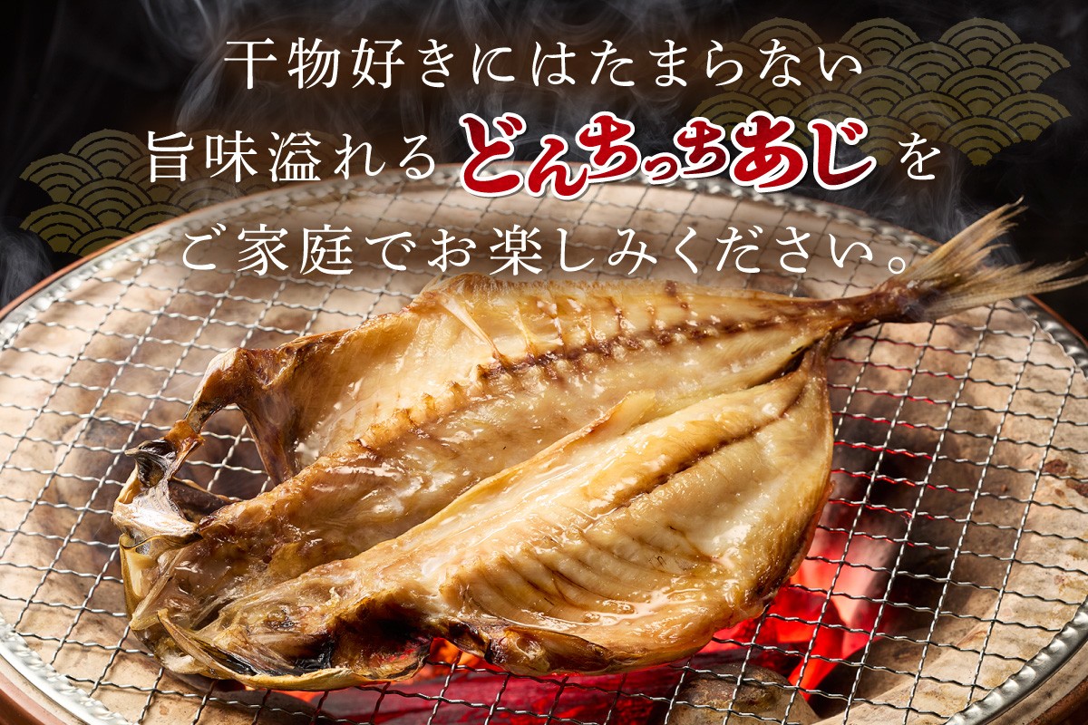 山陰浜田 創業大正10年香住屋のこだわり干物「どんちっちあじ一夜干し」 魚介類 干物 おつまみ おかず あじ 一夜干し 【024_1992】