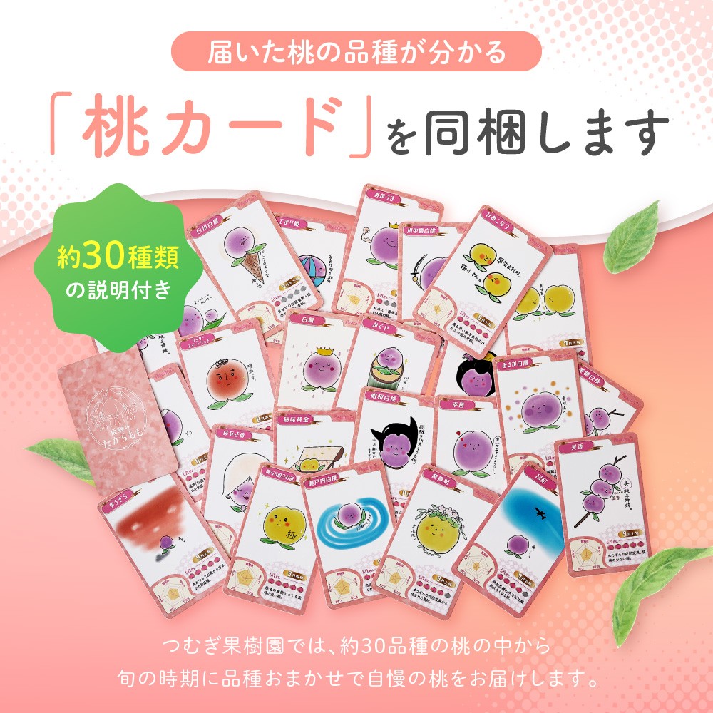 【2026年発送・先行受付】飛騨のたから桃 糖度15度以上 硬肉品種 （4-8玉）※8月末～順次お届け | 小箱 桃 贈答用 最高級 甘い 硬い 品種 硬い桃 桃  朝採れ 高級 ギフト 品種お任せ ( 川中島 幸茜 初秋白桃 シーエックス) 飛騨高山 つむぎ果樹園 GH008〈桃 もも 先行予約 桃 先行予約 桃 先行予約 桃 もも〉