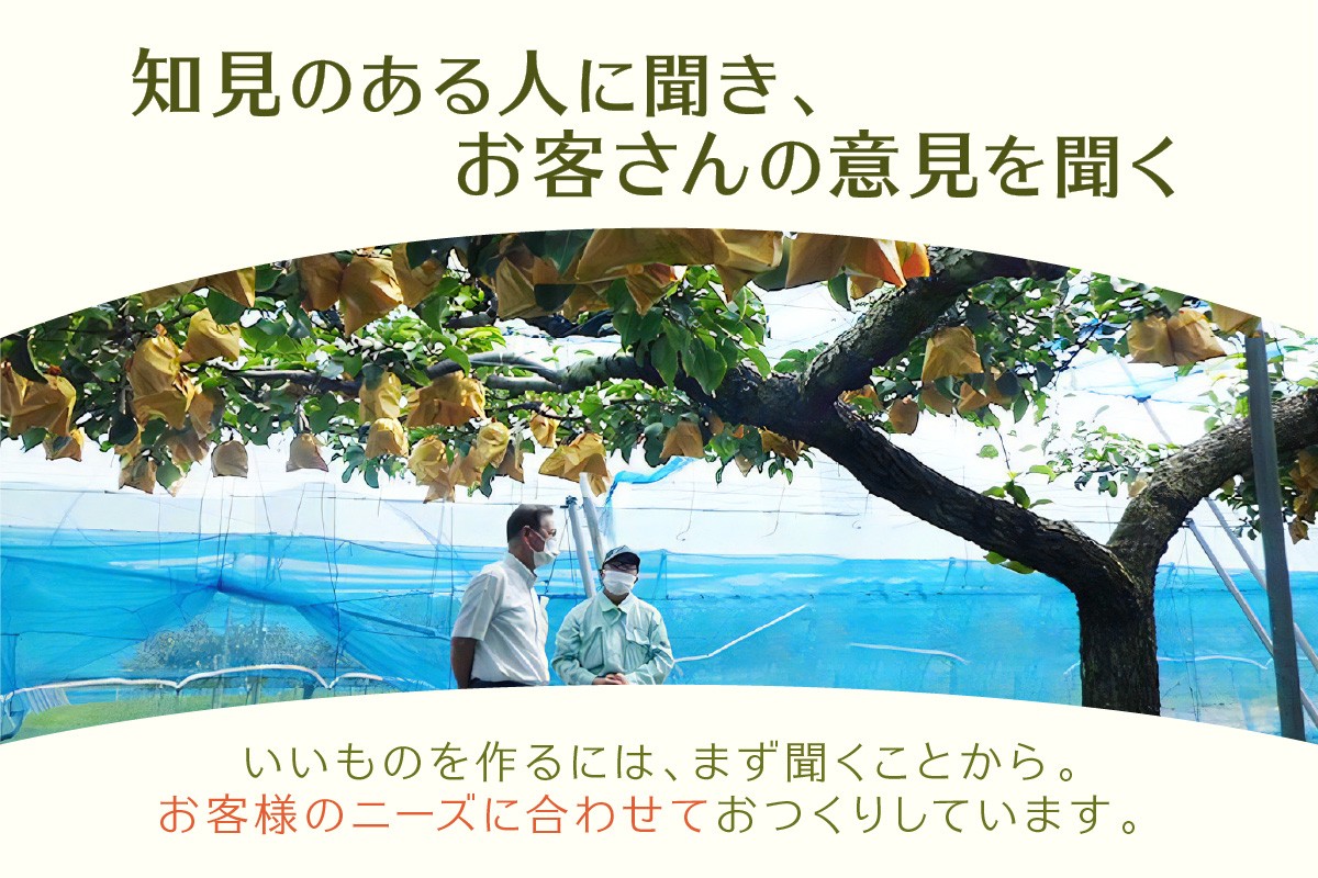 浜田市特産の梨と柿（西条柿）小袋のドライフルーツ ドライフルーツ 梨 柿 おやつ お菓子 デザート スイーツ 【032_2082】