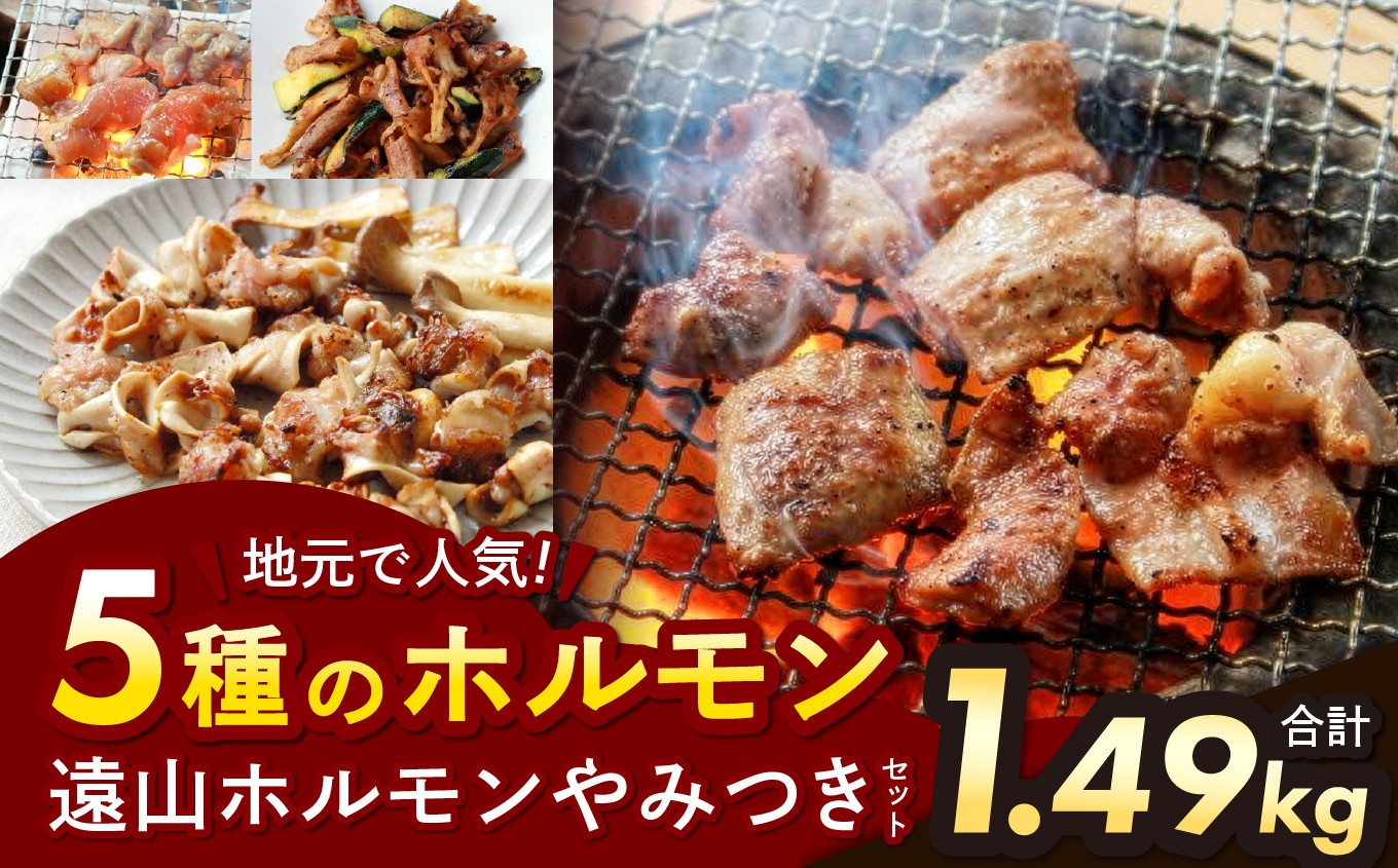 遠山ホルモンやみつきセット | ジビエ 信州 羊 味付け肉 ジンギス ジビエの聖地 遠山ジンギス 肉 里山 セット 贅沢 豪華 おつまみ バーベキュー BBQ 焼肉 アウトドア 高評価 長野県産 長野県 南信州 天龍村