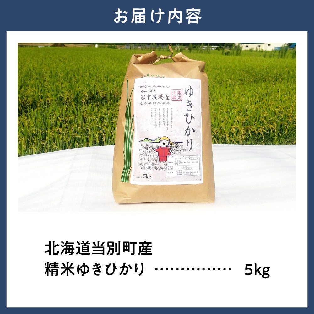 【令和7年産】精米ゆきひかり5kg