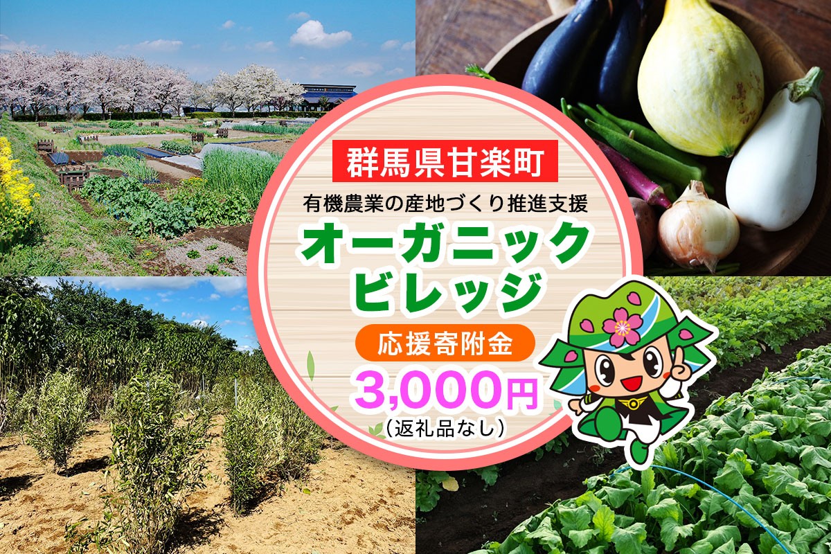 [返礼品なし] 群馬県甘楽町 オーガニックビレッジ 有機農業の産地づくり推進支援 応援寄附金三千円｜応援 支援 農業 有機農業 甘楽町 群馬県 [0338]