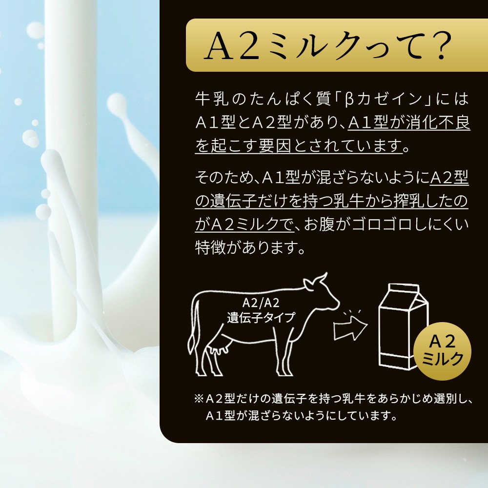十勝バスクチーズケーキ 4号（12～13cm） 2個 A2ミルク使用 北海道 お菓子 洋菓子 スイーツ ケーキ チーズケーキ 冷凍 ドリームヒル ドリームドルチェ ［012-D80］