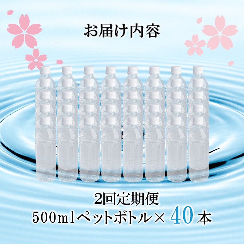 【桜屋】2回 定期便 シリカ天然水「サクラシリカ」500ml 40本 計80本 定期便 シリカ含有量99mg/L シリカ水 ラベルレス 水 ミネラルウォーター 飲料水 飲料 ペットボトル ナチュラルウォーター サルフェート 炭酸水素イオン ミネラル 国産 阿蘇 小国郷
