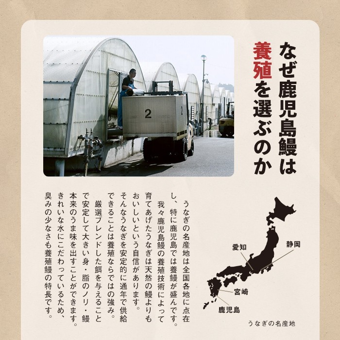【丑の日までに配送】鹿児島県産うなぎ蒲焼 名水慈鰻 上9尾(1尾160g以上)<計1.4kg以上> e0-060-us