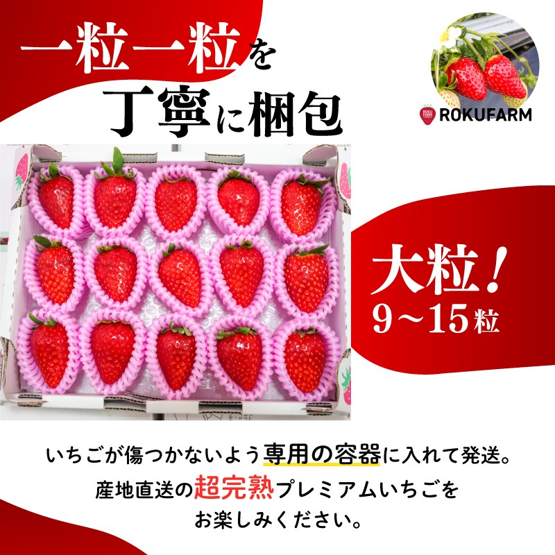 いちご 古都華 大粒サイズ 1箱 数量限定 冷蔵 いちご ことか 苺 フルーツ 果物 イチゴ strawberry 贈答 ギフト プレゼント 産地直送 季節限定 旬 完熟 奈良県 奈良市 6FARM