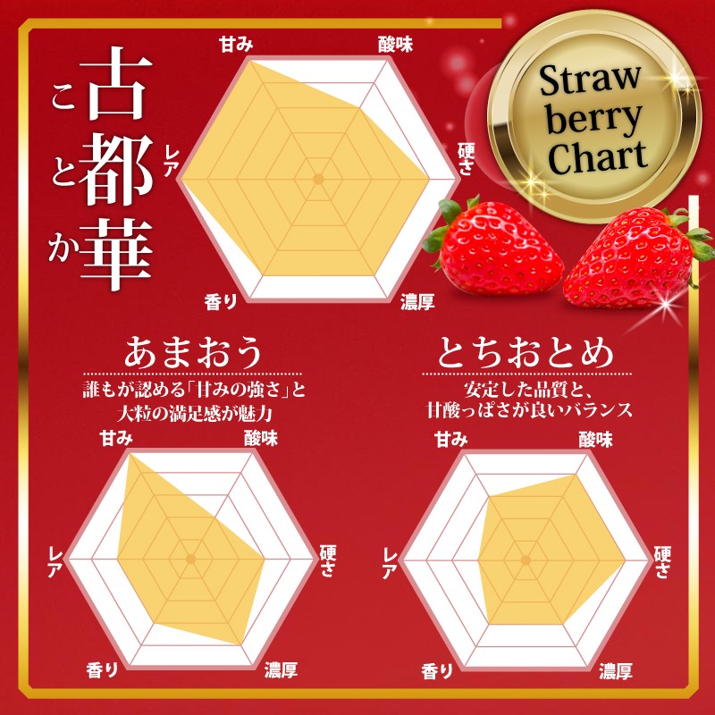 いちご 古都華 大粒サイズ 1箱 数量限定 冷蔵 いちご ことか 苺 フルーツ 果物 イチゴ strawberry 贈答 ギフト プレゼント 産地直送 季節限定 旬 完熟 奈良県 奈良市 6FARM