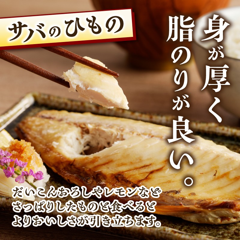 ひもの セット 詰合せ 特選 5種 手作り アジ イカ イワシ サバ ほっけ 醤油干し 一夜干し 昔ながら おかず おつまみ ごはん 冷凍 干物 魚 富士市 [sf001-163]