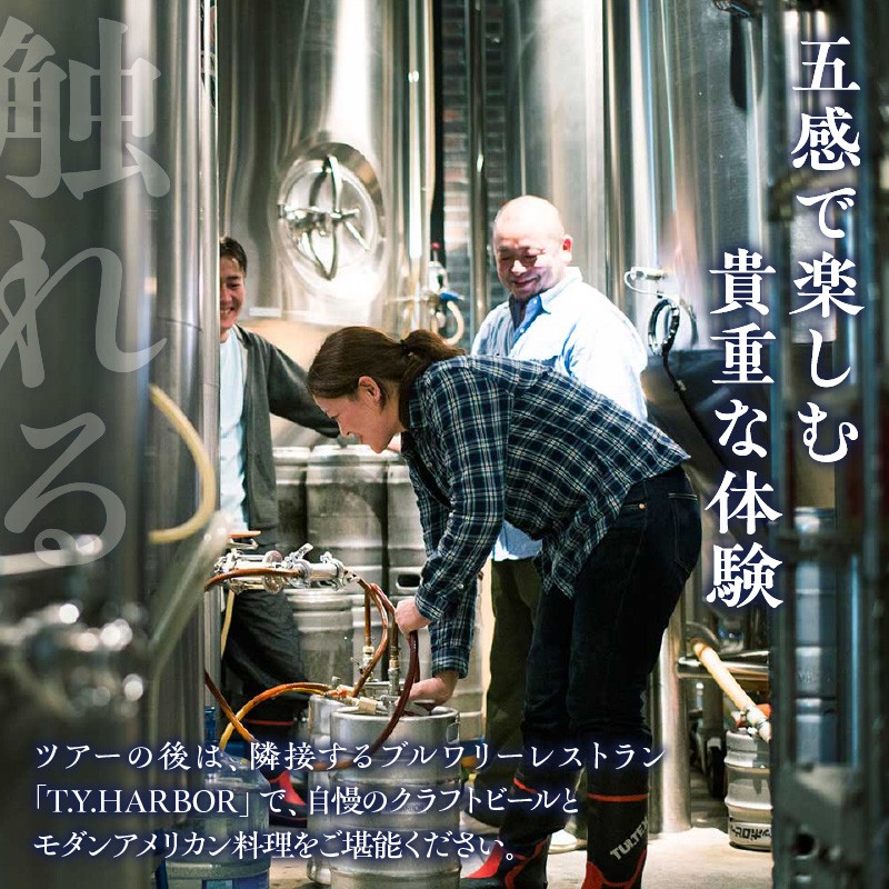 美味しいビールを「知る!」「体験する!」 T.Y.HARBOR Brewery クラフトビールを知る 見学体験&お土産セット【8月第二土曜日午後】