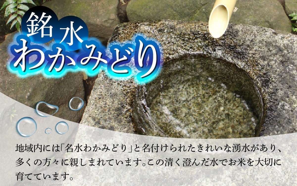 若緑産 4種 食べ比べセット 特別栽培米 (4種×2kg 計8kg)【2026年11月発送】