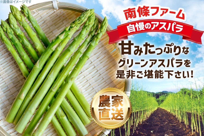 剣淵町産 グリーンアスパラ 1kg(M〜2L混) [けんぶちVIVAマルシェ 北海道 剣淵町 14656381 ] アスパラ アスパラガス グリーンアスパラ 春 新鮮 送料無料