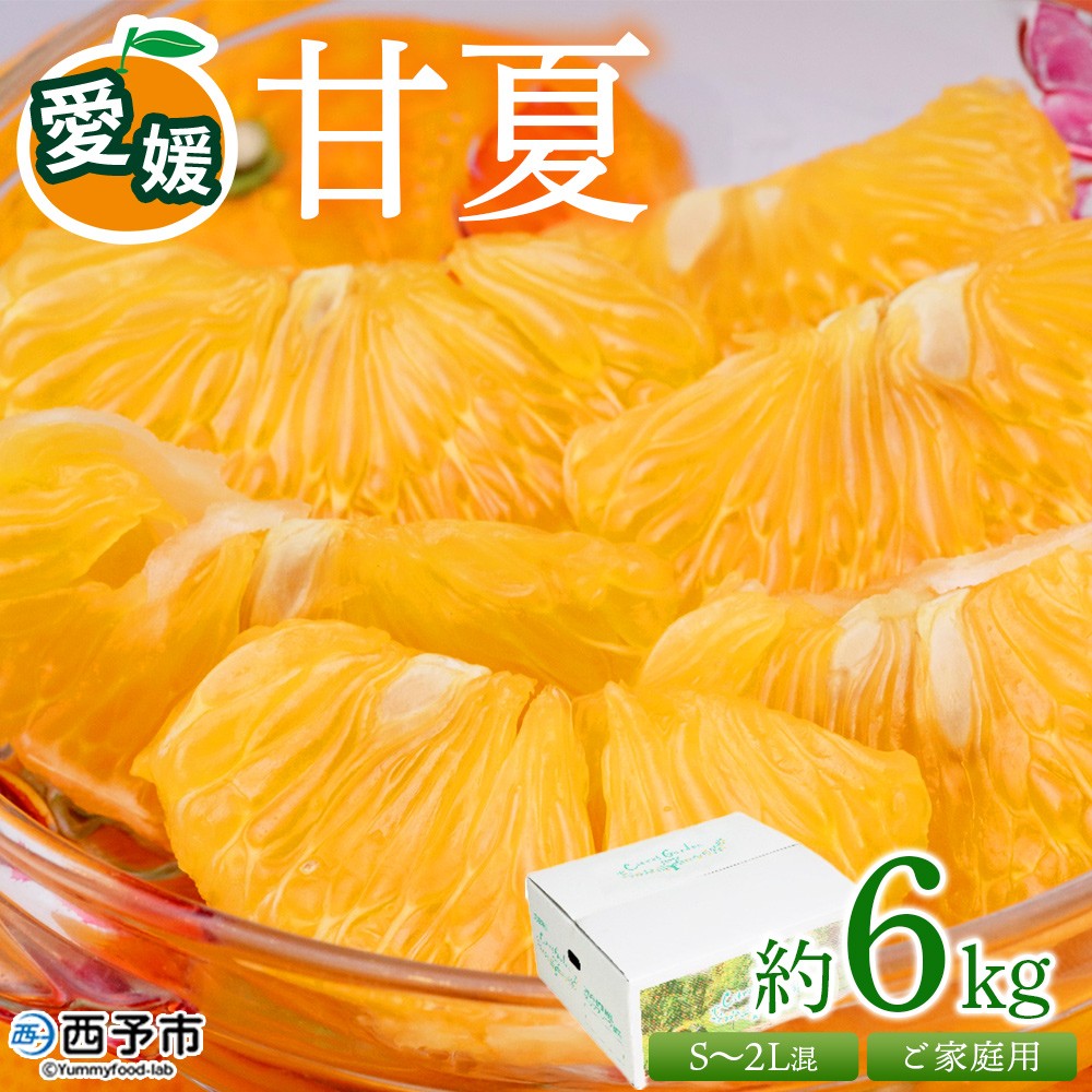 <愛媛県西予市産 甘夏 ご家庭用 約6kg> 訳あり S~2Lサイズ混合 果物 くだもの フルーツ みかん ミカン 蜜柑 あまなつ オレンジ 柑橘 不揃い 食べて応援 特産品 宇都宮物産 愛媛県 西予市【常温】『2026年3月中旬~5月中旬迄に順次出荷予定』