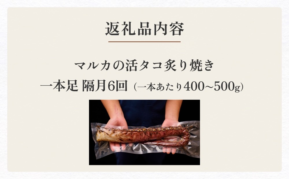 活タコ 炙り焼き 一本足 定期便 隔月 1本 6回 タコ たこ 直火焼き おかず おつまみ 蛸 刺身