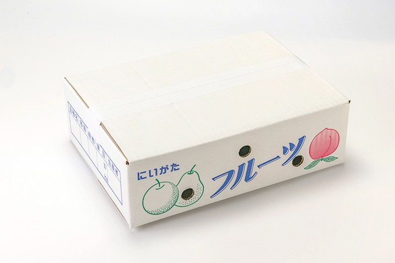 【2026年先行予約】新潟県産 和梨 あきづき 3kg 【秀品】《9月中旬～順次発送》  なし 果物 フルーツ デザート ジューシー シャキシャキ  加茂市 塩原久七農園