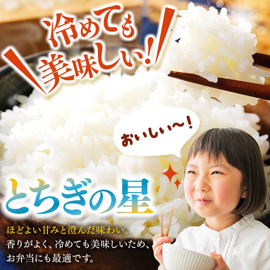 栃木県産 お米 とちぎの星 2kg |  栃木県 矢板市 【栃木県共通返礼品】