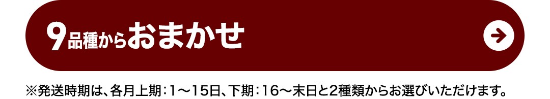 【4月上期出荷】 コシヒカリ 10kg 令和7年産精米 【 数量限定 】茨城県つくばみらい市産 米 コメ 単一米 24000 茨城県産 国産 発送 コスパ こしひかり