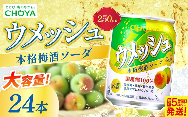 チョーヤ ウメッシュ 本格梅酒ソーダ缶 250ml×24本【igge0016】