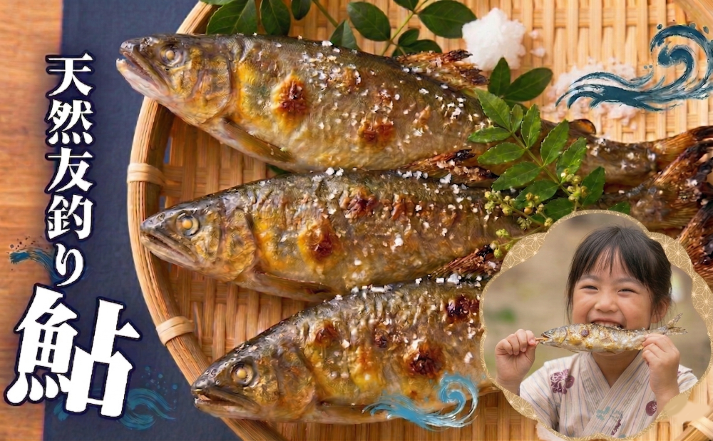 【先行受付】令和8年度産 鮎 約1.2kg
