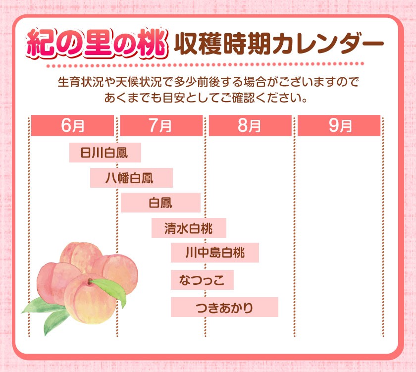 発送「週」指定でお届け!! 甘くてジューシーな紀の里の桃 和歌山県産 紀の里の桃 約2kg (6~8玉) 《初採れ桃:6月4週目出荷便(約2kg)》 2026年 先行予約 紀の里の桃 白鳳 日川白鳳 なつっこ 清水白桃 川中島白桃 和歌山 もも