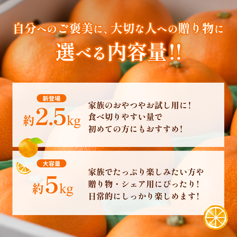 【先行予約】せとか（家庭用）レギュラー箱 約2.5kg【KC00770K3】