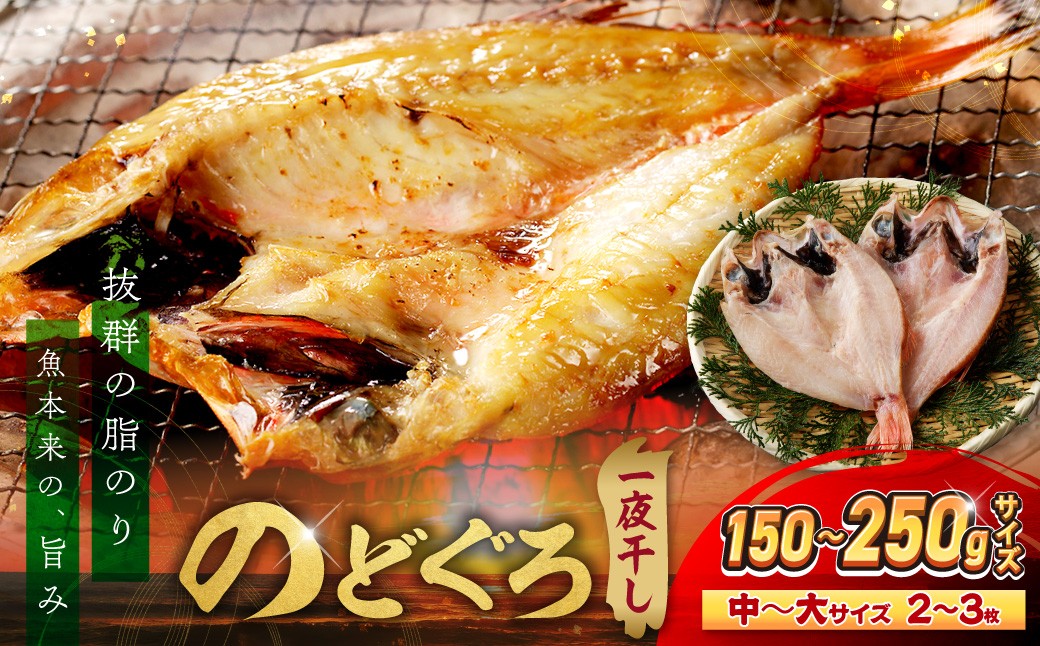 のどぐろ一夜干し個包装2~3枚「中~大型150~250gサイズ」 アカムツ 産地直送 干物 魚 一夜干し 人気 大きい 天然 ボリューム ノドグロ 【005_2087】