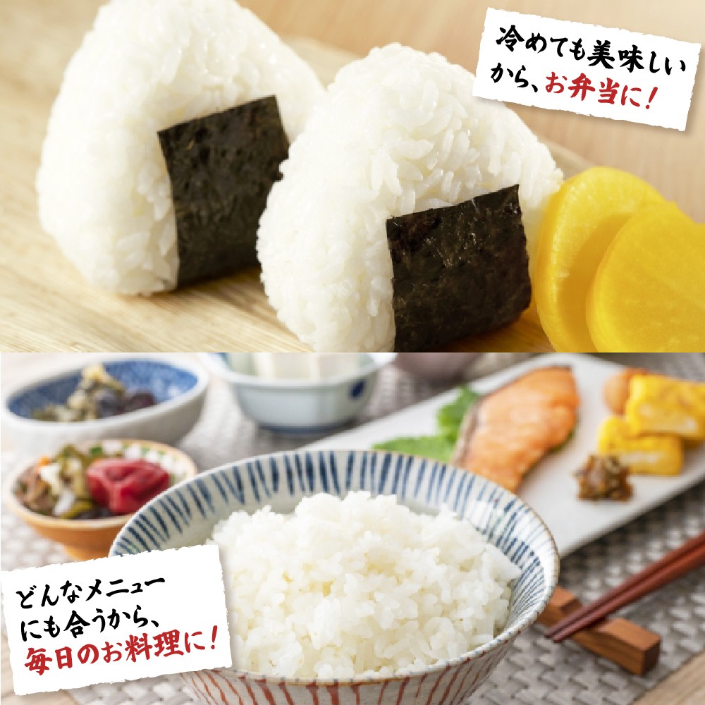 【数量限定】夢つくし(精米) 福岡県産ブランド米 15kg (品番:3X12)