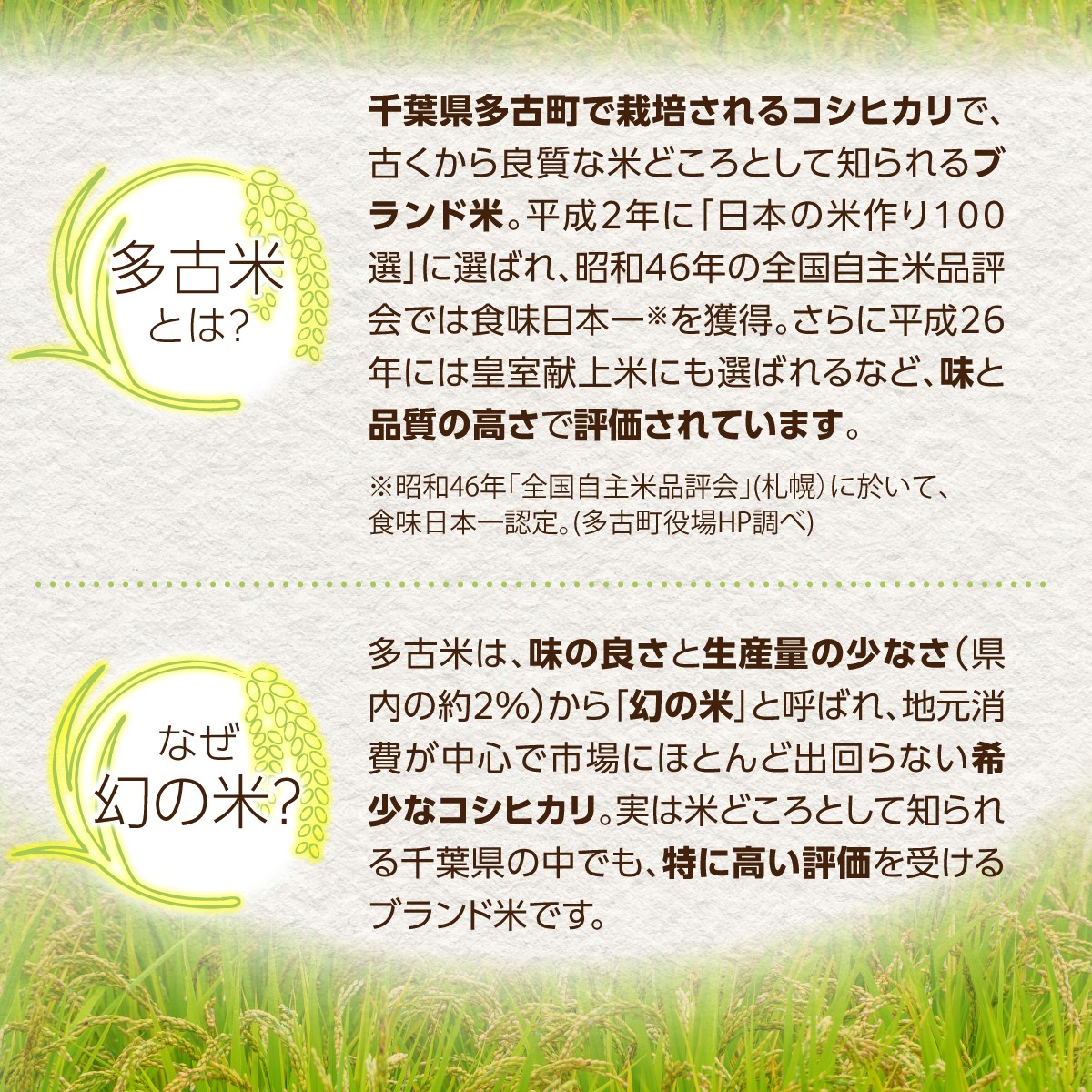 <令和7年産>たこまいらいふ萩原農場の多古米コシヒカリ(玄米)10kg TAKK015