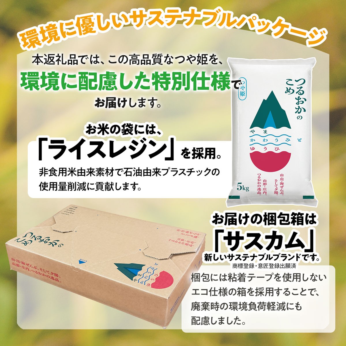 【令和8年5月中旬発送】【SDGs特別企画】 鶴岡産 令和７年産 つや姫 無洗米 5kg (5kg×1袋)　一等米　SDGs未来都市‟いのち輝く、創造と伝統のまち 鶴岡“ 環境に配慮した特別仕様 ＳＤＧｓ 特別企画品