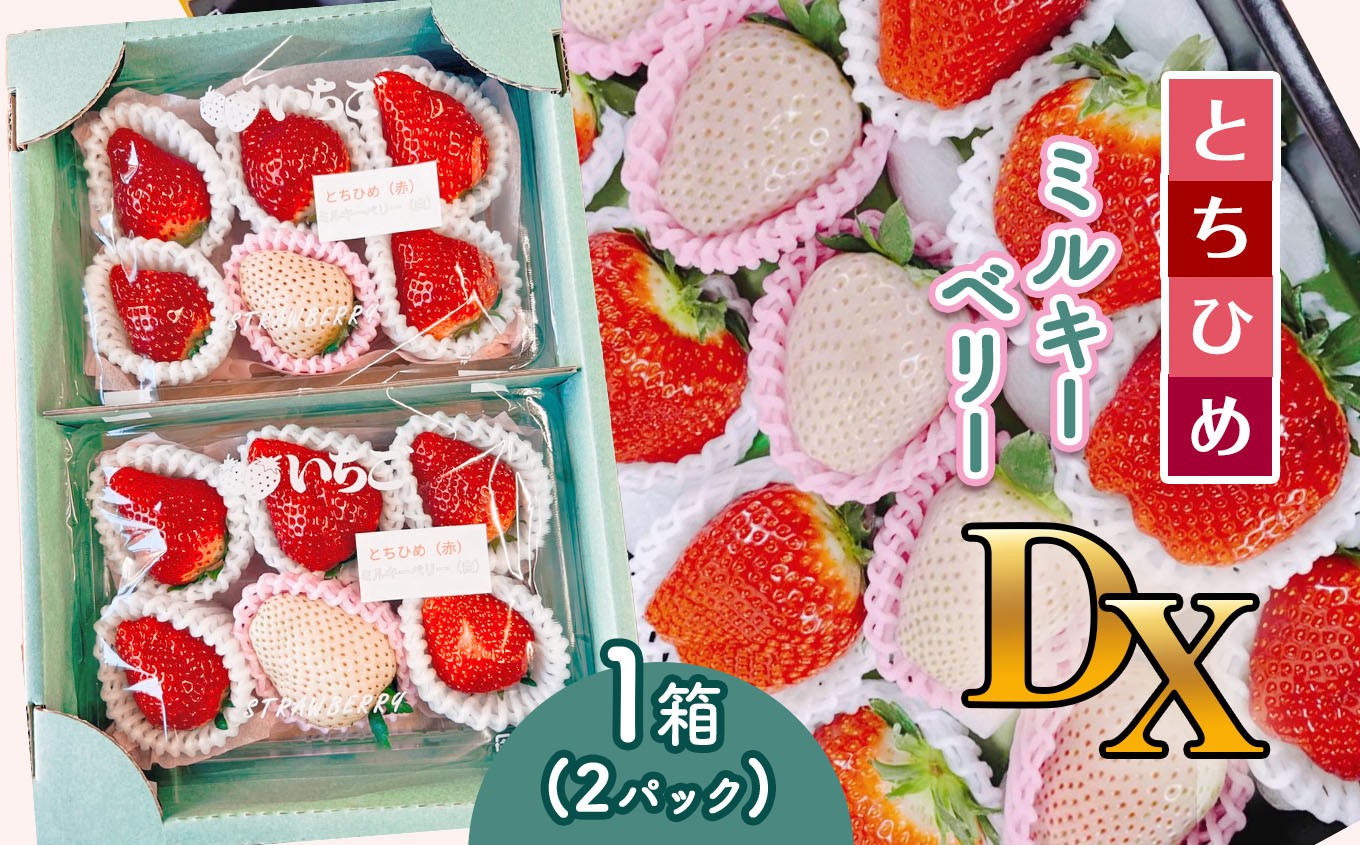 【2026年12月以降発送】先行予約受付中! とちひめ・ミルキーベリー DX 1箱(2パック) | いちご 苺 とちひめ ミルキーベリー 貴重 果物 あまい 甘い 完熟 糖度 白 赤 セット 紅白 レア 栃木県 真岡市 送料無料