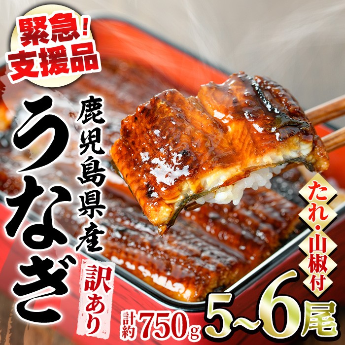 【0184359a】【緊急支援品】<訳あり>鰻の蒲焼き(無頭)(5~6尾・計約750g・タレ、山椒付) うなぎ ウナギ 鰻 国産 蒲焼 蒲焼き たれ 鹿児島 ふるさと 人気 支援 【アクアおおすみ】