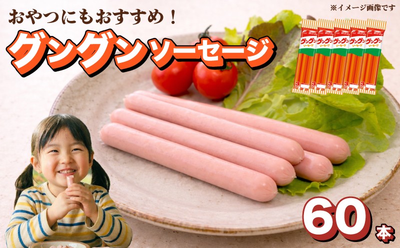 魚肉 ソーセージ 60本 セット