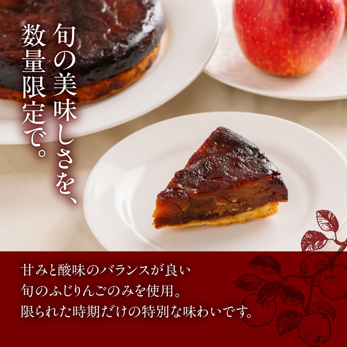 【先行予約】七飯町産 ふじりんごのタルトタタン 【 ふるさと納税 人気 おすすめ ランキング タルトタタン 七飯町産 ふじりんご 凝縮 北海道 七飯町 送料無料 】 NAAS001
