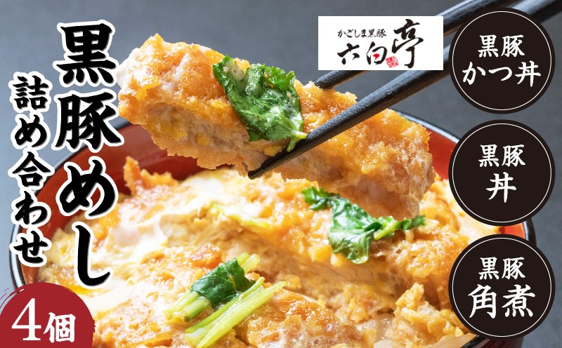 【かごしま黒豚 六白亭】黒豚めし詰合せ 4個 K163-003