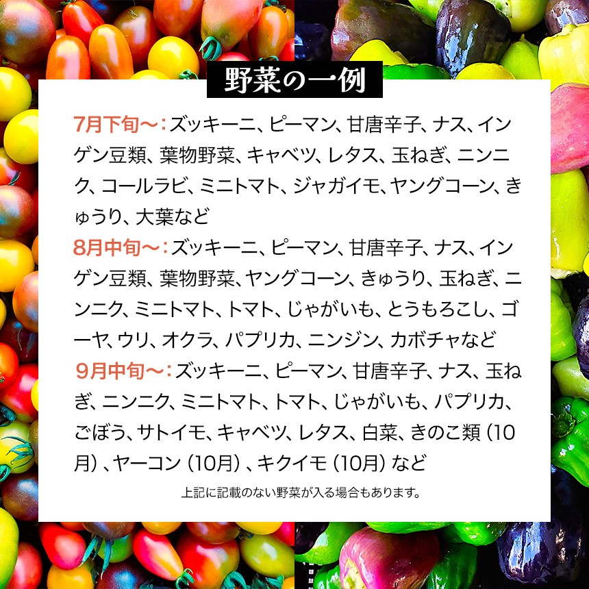 【栽培期間中農薬不使用・無化学肥料・無家畜性肥料で育てた】 季節の 野菜セット ( Mサイズ )【2026年8月上旬~発送】| 旬 野菜 10種類前後 2~3人分 セット シードマイスター 農薬不使用 無化学肥料 無家畜性肥料 信州 八ヶ岳 長野県 諏訪郡 原村