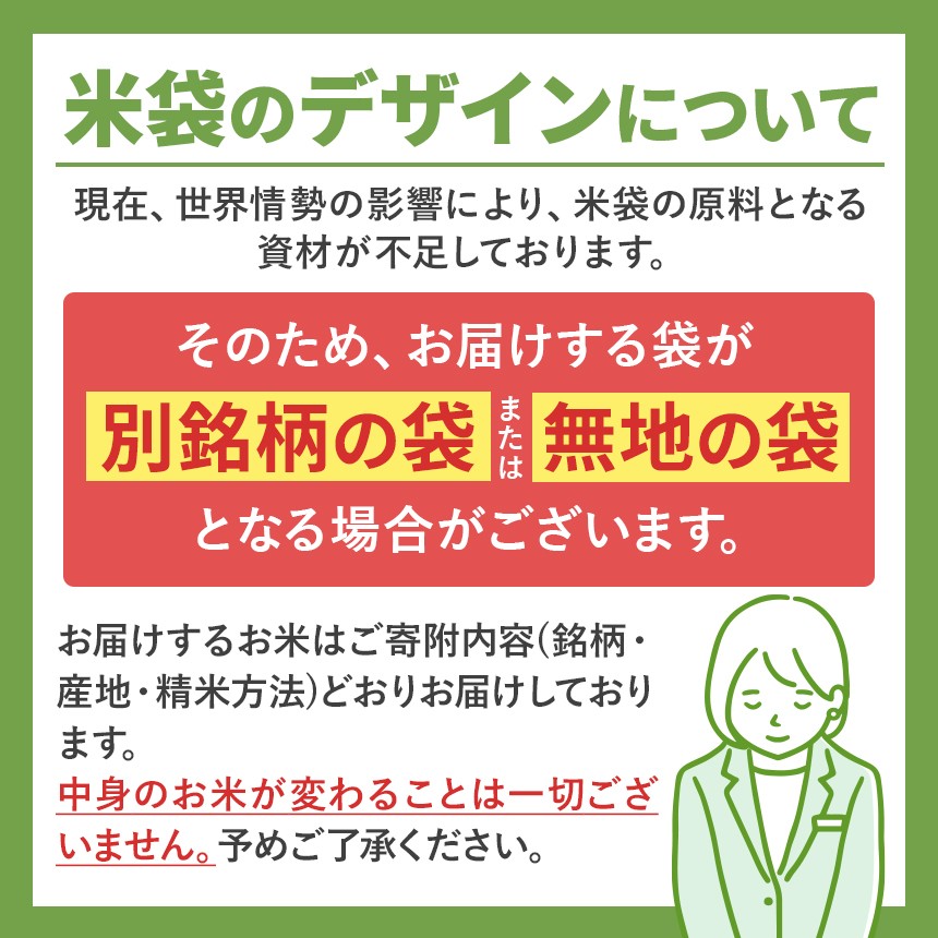 森のくまさん 白米 5kg | 米 お米 精米 森のくまさん 5キロ 国産 国産米 熊本県産 熊本県 玉名市