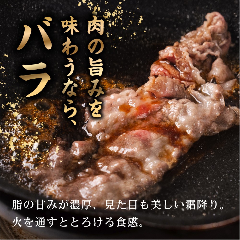 【訳あり】選べる500g~2kg 飛騨牛 スライス バラ 500g(250g×2) G0505a ≪等級バラのため訳あり≫ 牛肉 肉 おにく 牛肉 肉 わけあり 牛肉 訳あり 商品 飛騨牛 牛肉 不揃い 小分け 飛騨牛 牛肉 牛肉 飛騨牛 すき焼き用 牛肉 冷蔵 訳有 牛肉 すき焼きセット スライス肉