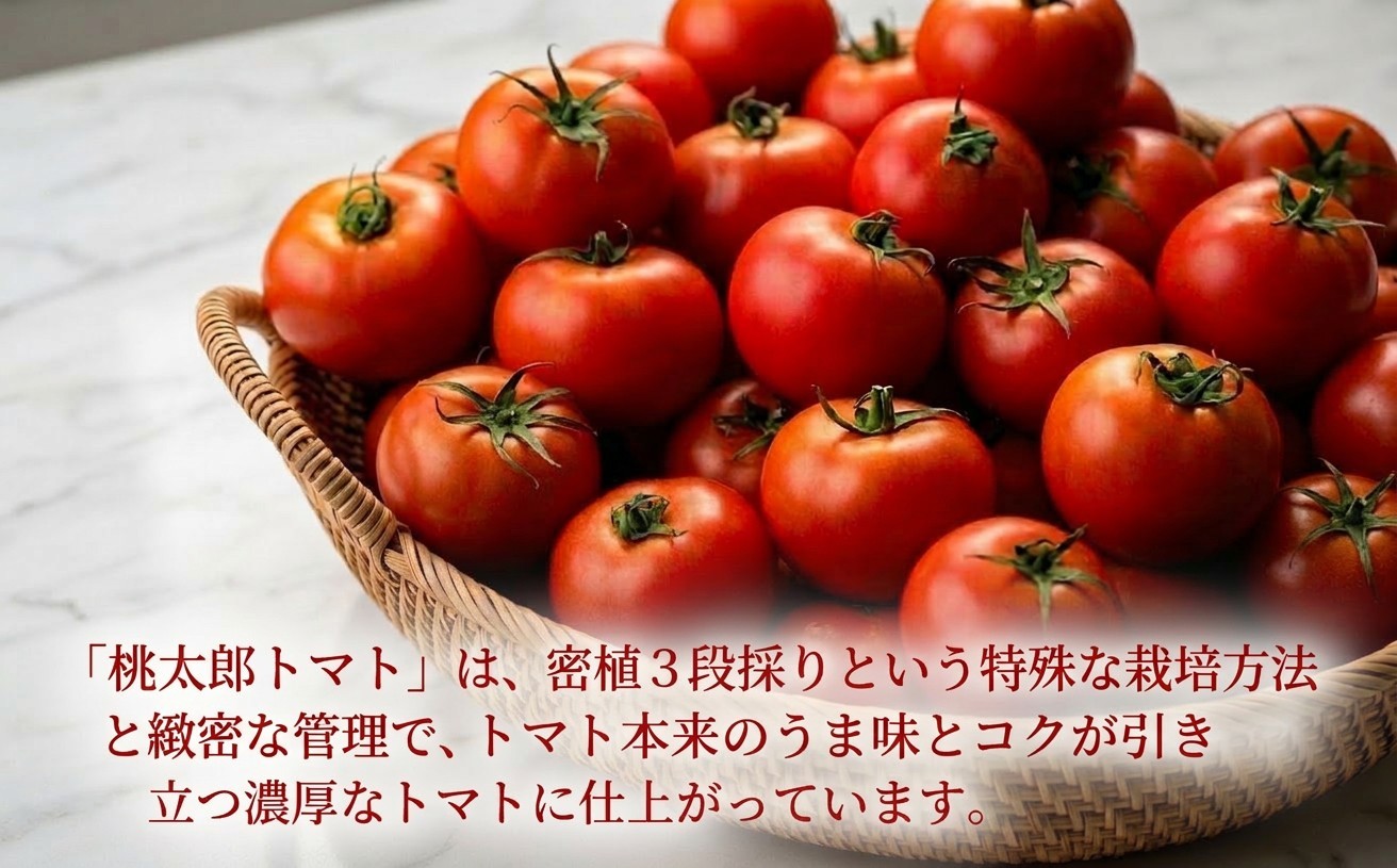 <北海道安平町>谷川農園の桃太郎トマトジュース《食塩無添加》180ml×6本【1339511】