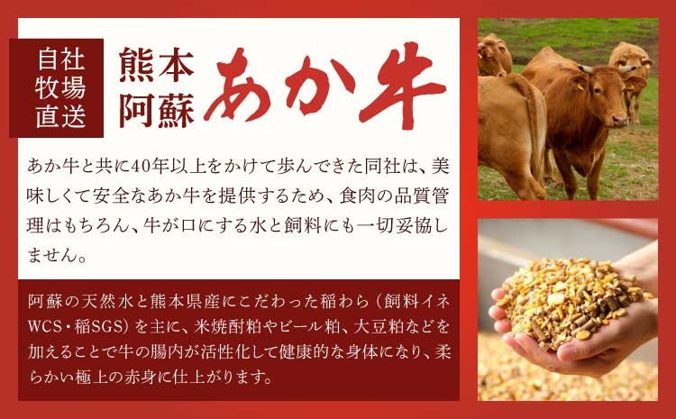 ステーキ ロース あか牛 和牛 牛肉 肉 400g 200g×2枚 熊本 国産 九州 霜降り 柔らかい BBQ キャンプ 鉄板焼き 焼肉 ご馳走 冷凍 ご当地 お取り寄せ グルメ ギフト 贈答 贈り物 お祝い 記念日 パーティー ディナー ご褒美 贅沢 絶品 三協畜産