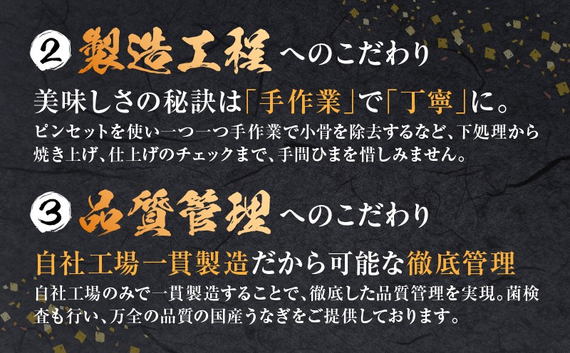 【3回定期便】うなぎ白焼(大サイズ)2尾・肝焼きセット_M069-T010-3-2