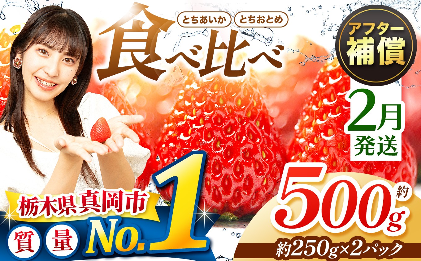 【先行予約】【2月発送】いちご とちおとめ・とちあいか 500g 食べ比べ セット | 苺 イチゴ 甘い 人気 送料無料 栃木県 真岡市