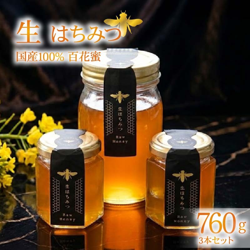 蜂蜜 ローハニー 130g 2本 500g 1本 セット はちみつ 国産 非加熱 百花蜜 生はちみつ 純粋 ハチミツ ハニー お取り寄せ お土産 発酵食品 下田みつばち 静岡県 下田市 伊豆