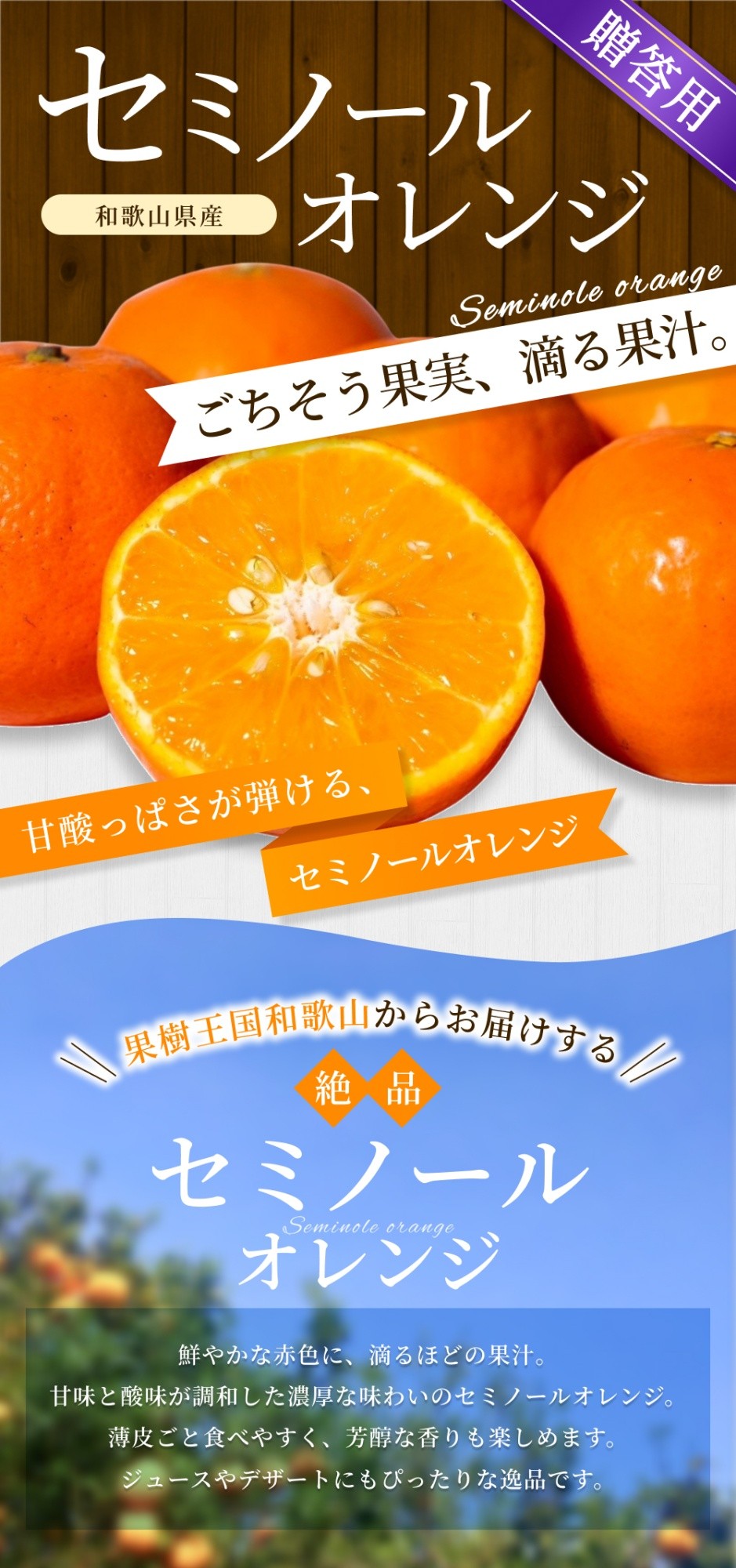 【贈答用】 森本農園の手選別 セミノールオレンジ 約10kg 和歌山県産 サイズ混合 【北海道・沖縄・離島配送不可】【2026年4月中旬~5月下旬頃に順次発送】【BV-mrmt101】
