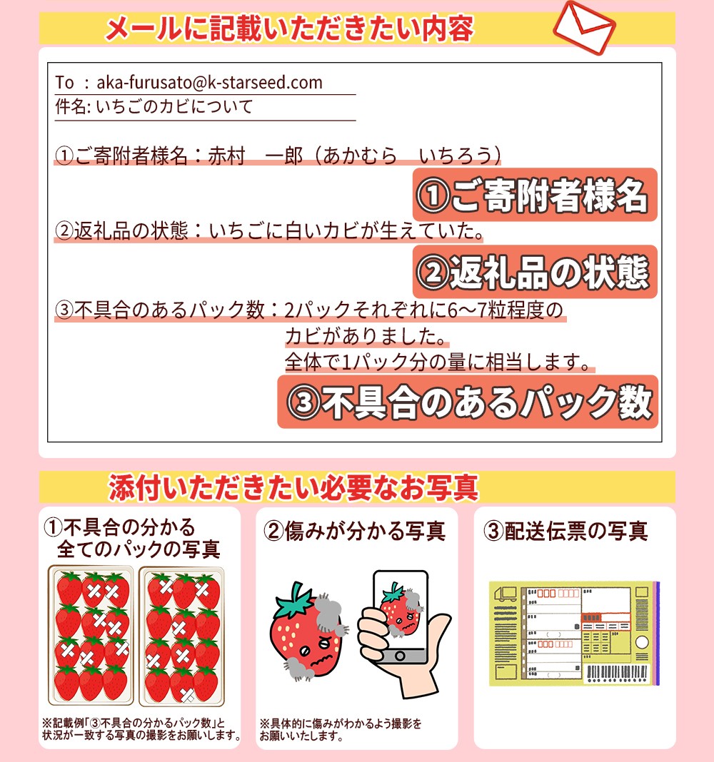 【先行予約/2027年出荷】暖家のいちご 完熟あまおう (約275g×4パック) 4H4-S