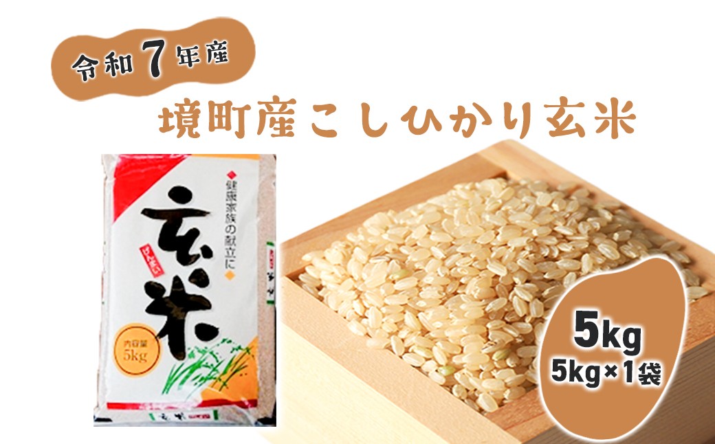 【令和7年産】米 玄米 コシヒカリ 5kg(5kg×1袋) 国産 ご飯 茨城県 境町産 人気 S278