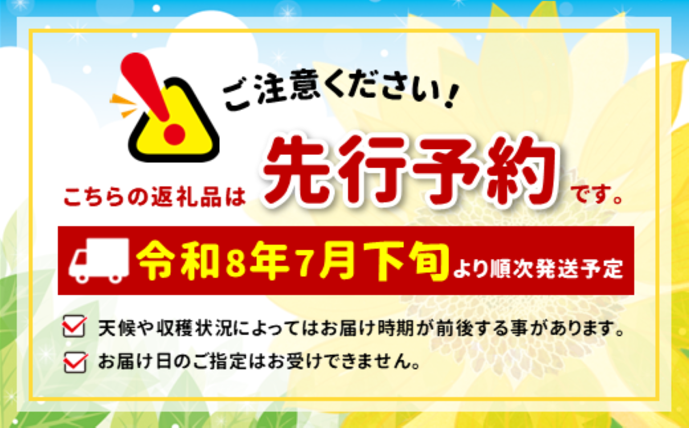 【7月下旬より順次発送】南信州産「桃」あかつき 約2kg 5~9玉 | 果物 くだもの フルーツ 桃 モモ もも あかつき 新鮮 長野県 信州 南信州 飯田市