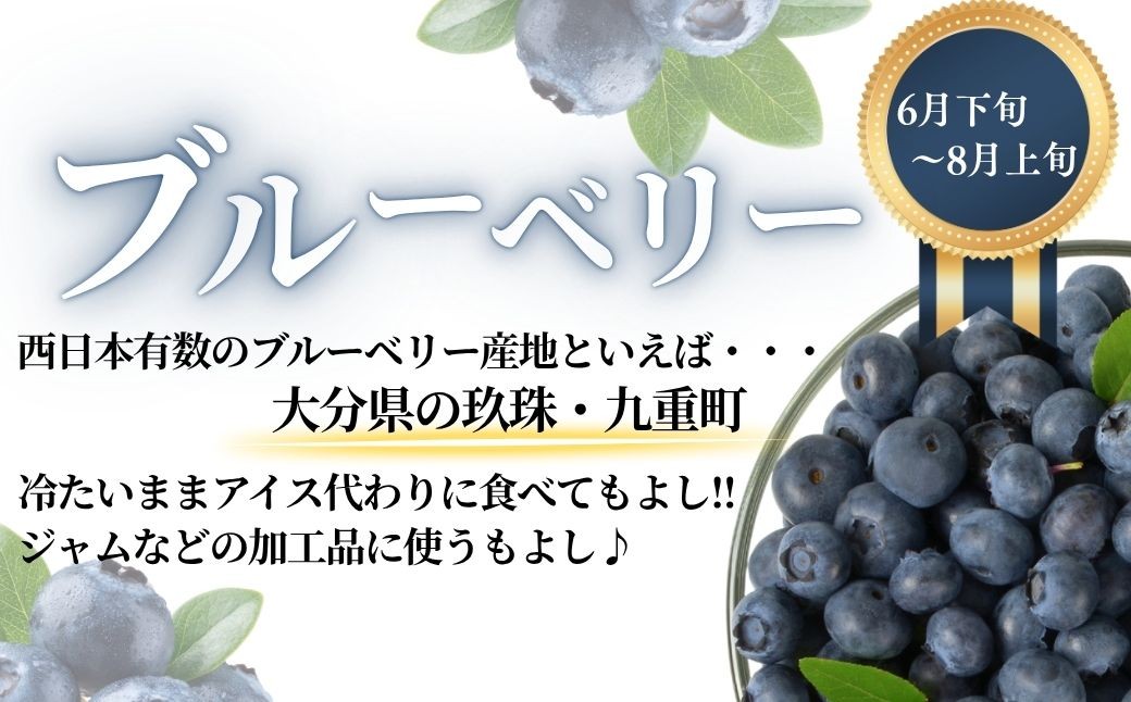 【フルーツ 定期便】大分県産 旬のフルーツ定期便(全4回) | フルーツ定期便 定期便フルーツ フルーツ数量限定 ブルーベリー シャインマスカット 温州みかん いちご 果物 くだもの 九州 津久見市