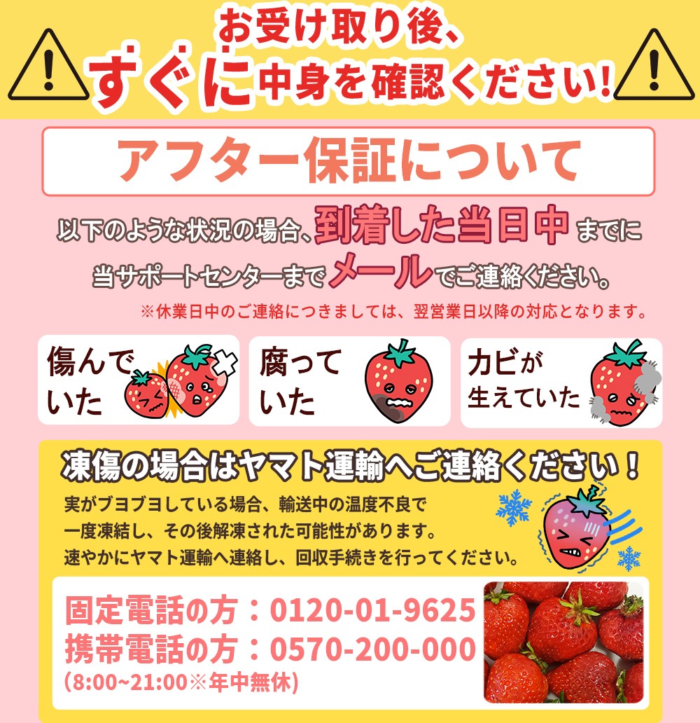 【先行予約/2027年出荷】暖家のいちご 完熟あまおう (約275g×4パック) 4H4-S